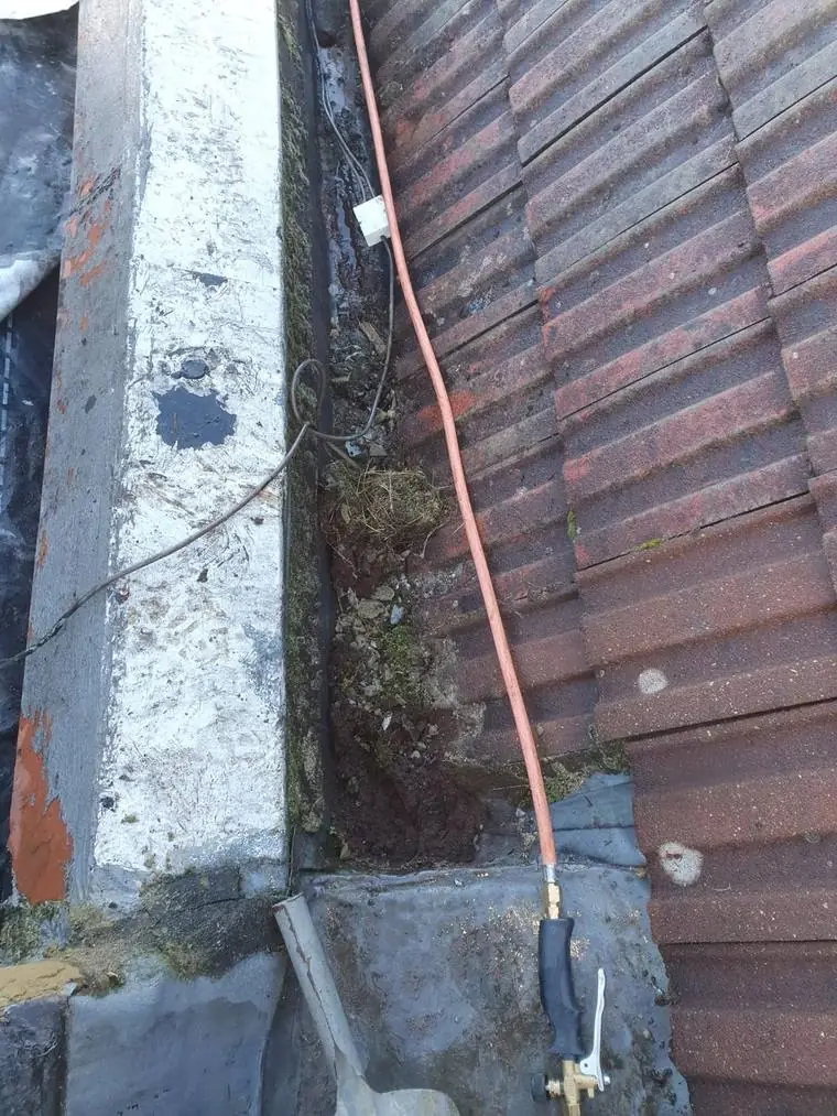 A parapet gutter part-cleared of moss